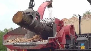 Amazing Automatic Fast Big Wood Chipper Machines Modern Technology, Best Large Tree Shredder Machine