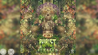 Purist - Apometron