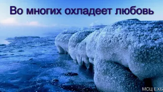 "Во многих охладеет любовь". Б. Б. Азаров. МСЦ ЕХБ