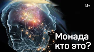 Монада кто это? Отрывок с курса обучения.