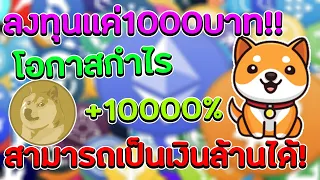 ทุนเเค่ 1000บาท สามารถทำให้เป็นหลักล้านได้!! Baby Doge