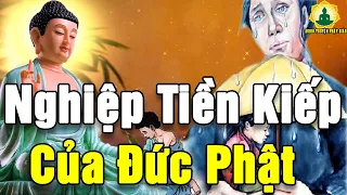 Kể Truyện Đêm Khuya, Nghiệp Tiền Kiếp Của Đức Phật Với Luật Nhân Quả Luân Hồn Khiến Ai Cũng Rơi Lệ