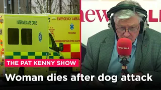 Young woman dies after being attacked by a dog in county Limerick | Newstalk