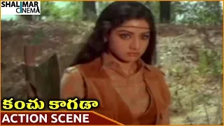 Kanchu Kagada Movie || Sridevi Superb Action Scene || Krishna, Sridevi || Shalimarcinema