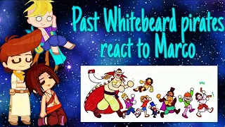 Past Whitebeard pirates react to Marco