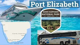 Day 4 Port Elizabeth South Africa Norwegian Jade - Excursion Addo Elephant National Park