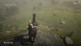 Still Works : Face Rock Method for Getting Missouri Fox Trotter Red Dead Redemption 2