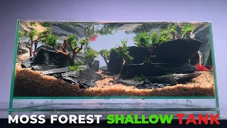 Making Moss Forest In SHALLOW TANK For Beginner (Aquascape Tutorial Guide)