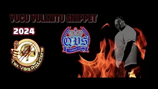VUCU VULINITU snippet (TEX VAKA original)