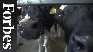 Milking Robots Are Helping A Family Dairy Farm Into The Future | Forbes