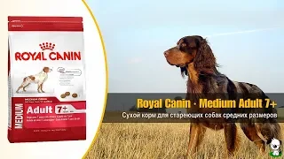 Сухой корм для стареющих собак средних размеров · Royal Canin Medium Adult 7+