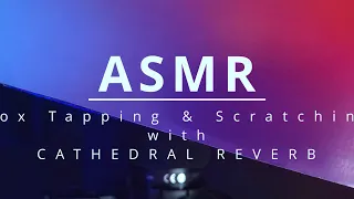 ASMR Box Tapping & Scratching with CATHEDRAL REVERB