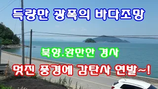 고흥군 부동산 임야 1억8천만원 / 도양읍 장계리 바닷가 전망 좋은 임야 7,438㎡(약2,250)