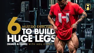 6 Must-Do Exercises to Build HUGE Legs (Quads & Hams) | Neil Currey Leg Workout | HOSSTILE