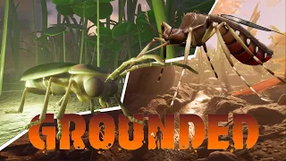 ⚔️ GROUNDED | How to kill MOSQUITO/FIREFLY in early game! | "TRAP" for mosquito/firefly