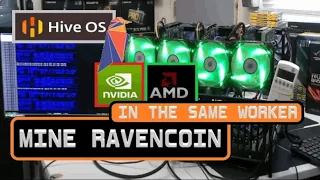 MINE RAVENCOIN (RVN)  W/ AMD AND NVIDIA GPUS IN THE SAME WORKER | TEAMREDMINER AND T-REX |  HIVEOS