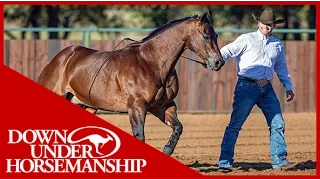 Clinton Anderson: How to Begin Liberty Work at the Ranch Rally - Downunder Horsemanship