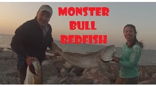 Non Stop Bull Redfish Action!!!
