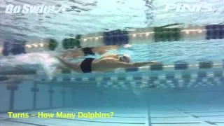 Turns - How Many Dolphins?