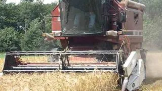 laverda 3500 harvesting winterbarley 2