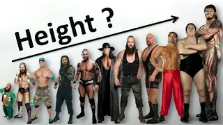 WWE wrestlers height comparison 2022.