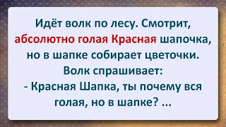 ⚜️ Волк и Краснаая Шляпа! Сборник Самых Смешных Анекдотов!