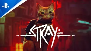 Stray | Launch Trailer | PS5, PS4