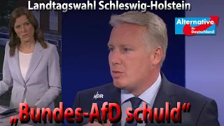 Welche Änderungen der AfD nach den Wahlen helfen würden