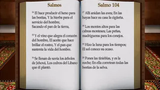 Audio libro de Salmos del 97 al 150