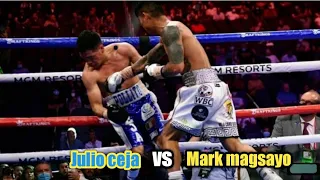 Mark magsayo vs Julio ceja full figth August 22-2021