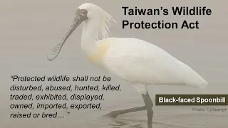 Wildlife Conservation Act | Taiwan Explained, Oct 3, 2019 | Taiwan Insider on RTI