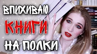 ПЫТАЮСЬ ВПИХНУТЬ ГОРЫ КНИГ НА ПОЛКИ💥😨📚