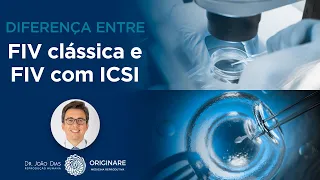 Diferença entre a FIV Clássica e FIV ICSI - Dr. João Dias