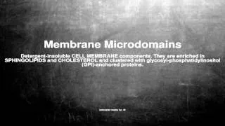 Medical vocabulary: What does Membrane Microdomains mean