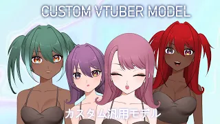 Customizable VTuber Model!