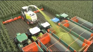 Farmers Use Farm Machines You've Never Seen - Agricultural Inventions #24