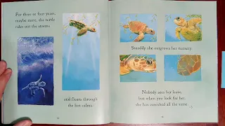 One Tiny Turtle - Read Aloud and Writing