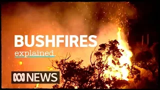 The science of bushfires explained | ABC News