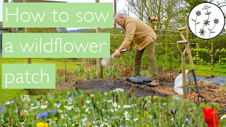 Sowing wildflowers: an easy to follow how to guide to sowing a small wildflower patch.