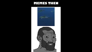 Memes Now VS Then