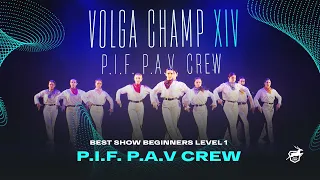 VOLGA CHAMP XIV | BEST SHOW BEGINNERS level 1 | P.I.F. P.A.V. crew