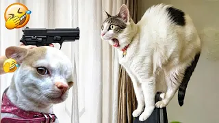 New Funny Animals 2024 🤣 Funniest Dogs and Cats 😻🐶