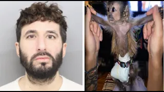 Owner faces felony charge after monkey on meth looked like he was in 'concentration camp'