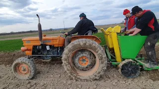 La plantat de cartofii cu fiat 350