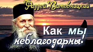 Человек злоупотребляет всем, что открывает ему Господь - Фаддей Витовницкий (Штрабулович)