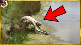 What They Discovered In These Waters Shocked the Whole World