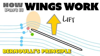 How Wings Work And Create Lift - Bernoulli's Principle