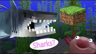 Minecraft, Why Won't You Add Sharks...