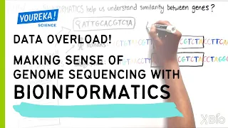 Data Overload! Making Sense of Genome Sequencing with Bioinformatics