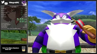 SADX - Big the Cat in 6:57 (RTA)